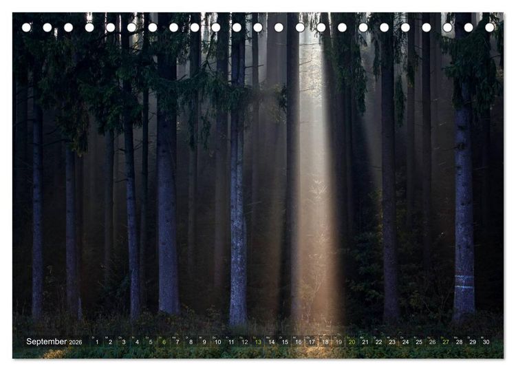 Produktbild: B&auml;ume (Tischkalender 2026 DIN A5 quer), CALVENDO Monatskalender