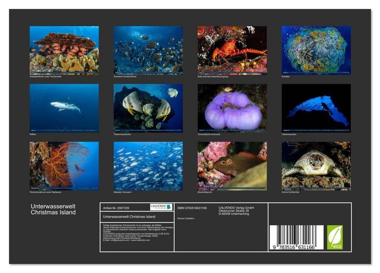 Produktbild: Unterwasserwelt Christmas Island (Wandkalender 2026 DIN A4 quer), CALVENDO Monatskalender