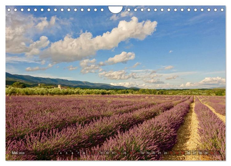 Produktbild: Lavendel. Der Duft der Provence (Wandkalender 2026 DIN A4 quer), CALVENDO Monatskalender