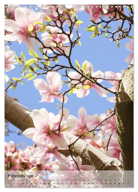 Produktbild: Garden Bliss (Wall Calendar 2026 DIN A3 portrait), CALVENDO 12 Month Wall Calendar