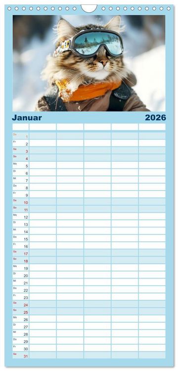 Produktbild: Familienplaner 2026 - Lustige Sportarten f&uuml;r Katzen mit 5 Spalten (Wandkalender, 21 x 45 cm) CALVENDO