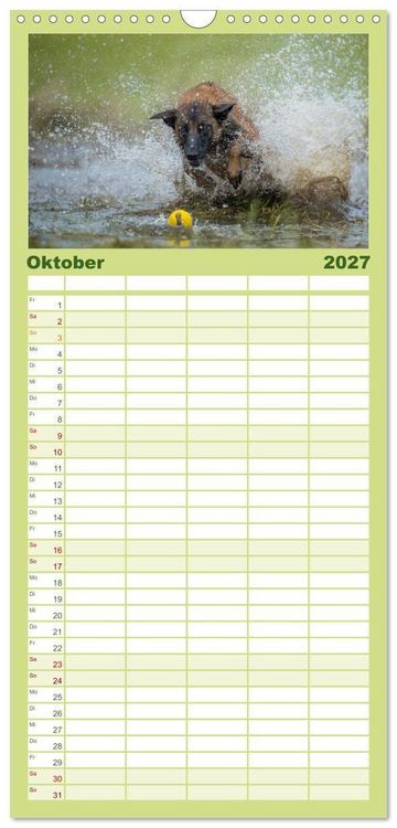 Produktbild: Familienplaner 2027 - Belgischer Sch&auml;ferhund - Der Malinois in Action mit 5 Spalten (Wandkalender, 21 x 45 cm) CALVENDO