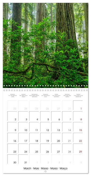 Produktbild: Dreaming California (Wall Calendar 2026 12 &times; 12 Inch) CALVENDO 12 Month Wall Calendar