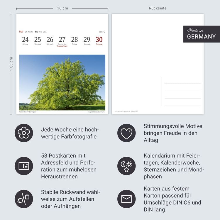 Produktbild: B&auml;ume Postkartenkalender 2027 - Wochenkalender mit 53 Postkarten