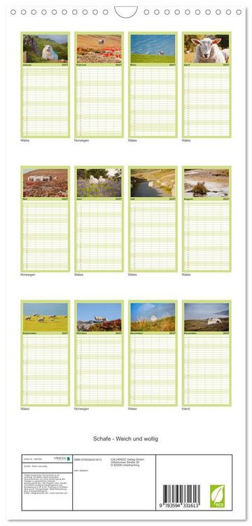 Produktbild: Familienplaner 2027 - Schafe - Weich und wollig mit 5 Spalten (Wandkalender, 21 x 45 cm) CALVENDO