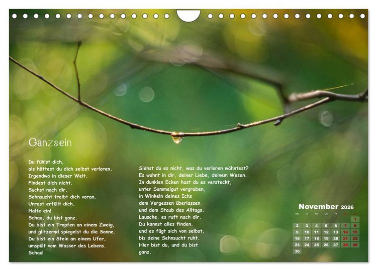 Produktbild: Lichtblicke f&uuml;r Auge und Seele - Der Kalender (Wandkalender 2026 DIN A4 quer), CALVENDO Monatskalender