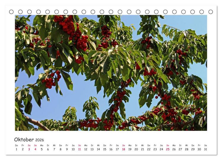 Produktbild: Tor des S&uuml;dens (Tischkalender 2026 DIN A5 quer), CALVENDO Monatskalender