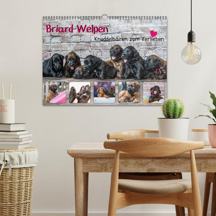 Produktbild: Briard-Welpen - Knuddelb&auml;ren zum Verlieben (Wandkalender 2026 DIN A3 quer), CALVENDO Monatskalender