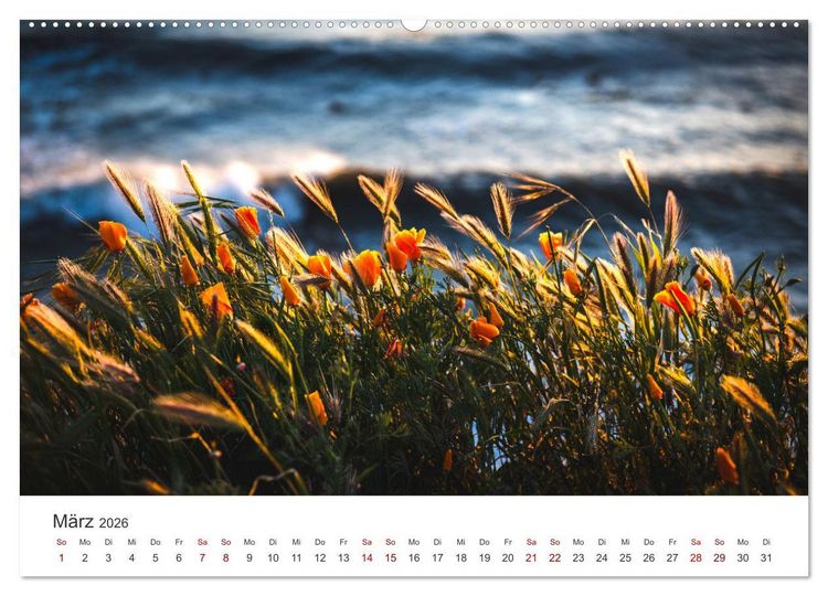 Produktbild: Die magische Welt der Blumen (hochwertiger Premium Wandkalender 2026 DIN A2 quer), Kunstdruck in Hochglanz
