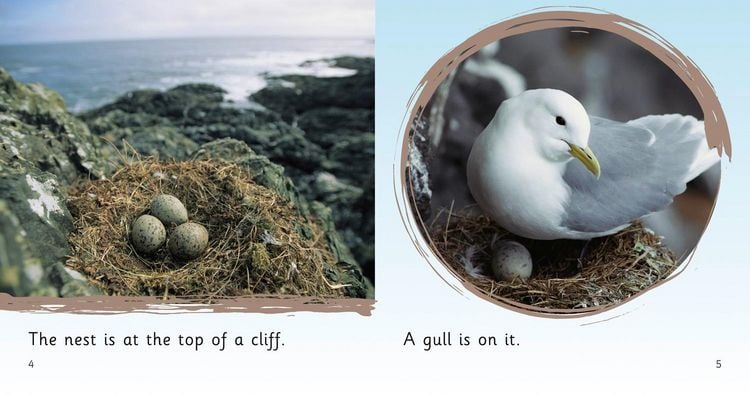 Produktbild: NESTS