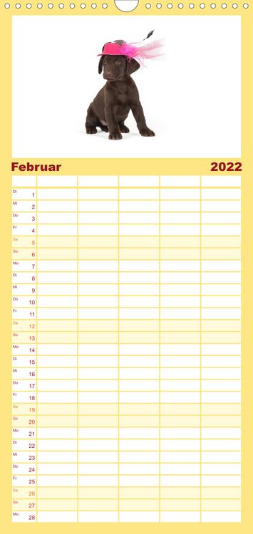 Produktbild: Familienplaner Labrador - Welpen (Wandkalender 2022 , 21 cm x 45 cm, hoch)