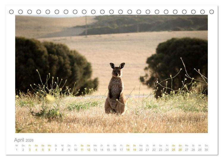 Produktbild: Ein L&auml;cheln f&uuml;r die Tierwelt (Tischkalender 2026 DIN A5 quer), CALVENDO Monatskalender