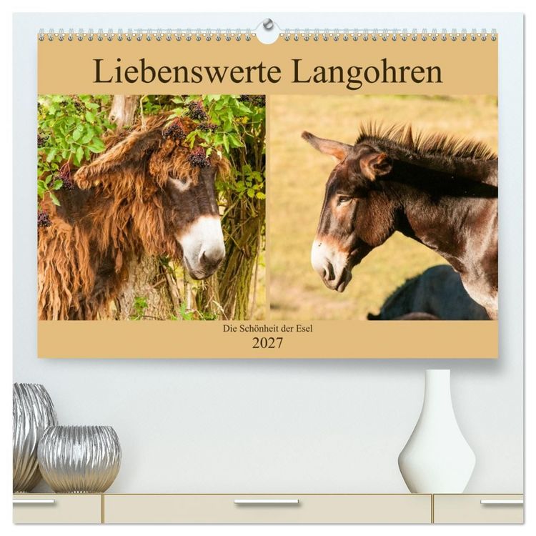 Produktbild: Liebenswerte Langohren - Die Sch&ouml;nheit der Esel (hochwertiger Premium Wandkalender 2027 DIN A2 quer), Kunstdruck in Hochglanz
