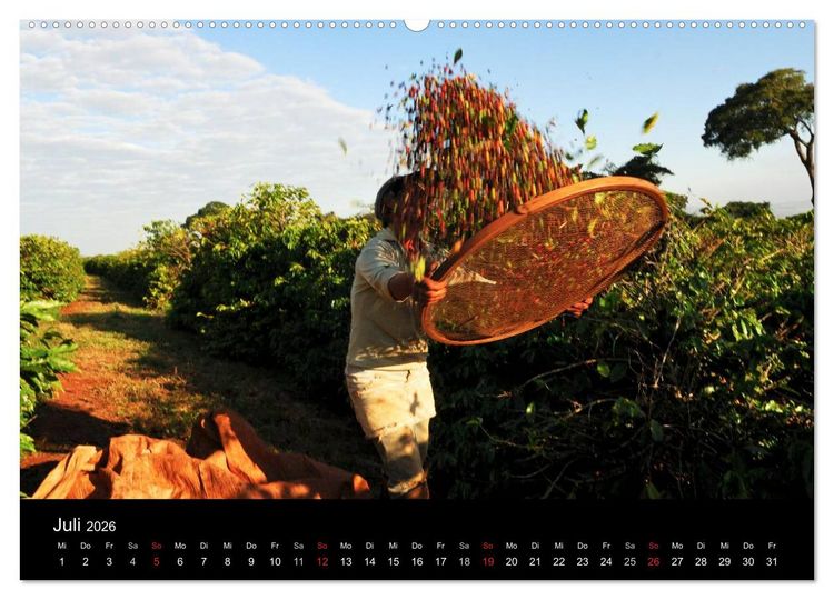 Produktbild: Zu Besuch beim Kaffee (hochwertiger Premium Wandkalender 2026 DIN A2 quer), Kunstdruck in Hochglanz