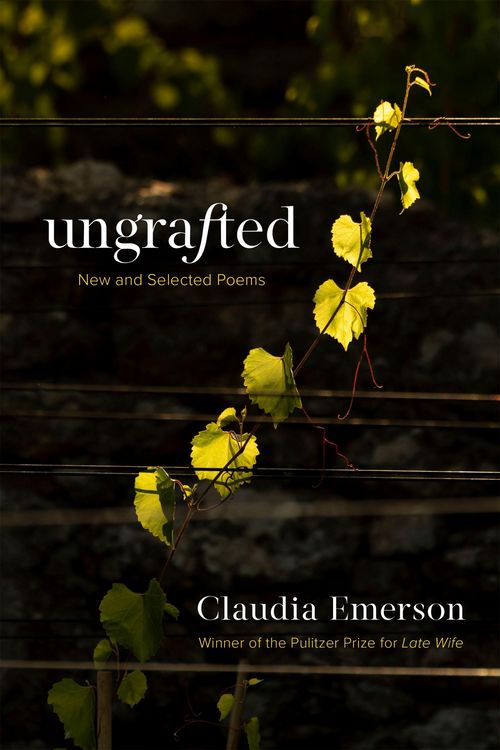 Produktbild: Ungrafted