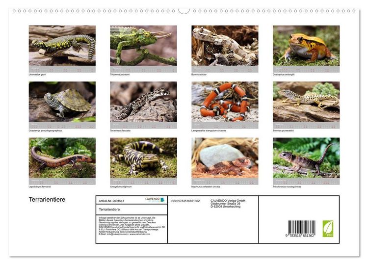 Produktbild: Terrarientiere (hochwertiger Premium Wandkalender 2026 DIN A2 quer), Kunstdruck in Hochglanz