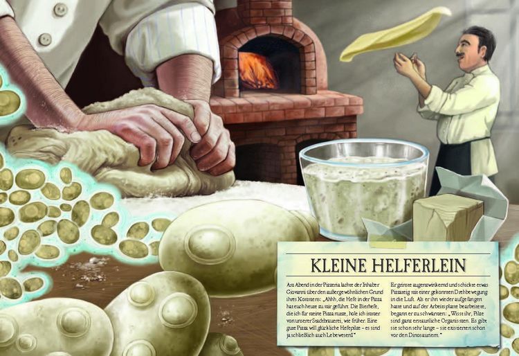 Produktbild: Verborgene Welt des Mikrokosmos