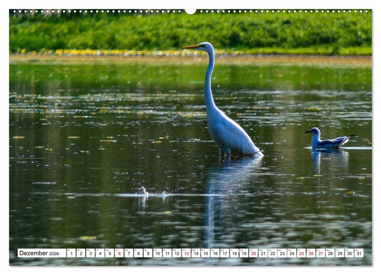 Produktbild: Rund um das Donaudelta (Wandkalender 2026 DIN A2 quer), CALVENDO Monatskalender