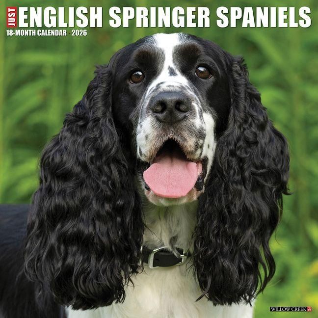Produktbild: English Springer Spaniels 2026 Wall Calendar