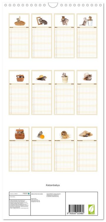 Produktbild: Familienplaner 2026 - Katzenbabys mit 5 Spalten (Wandkalender, 21 x 45 cm) CALVENDO