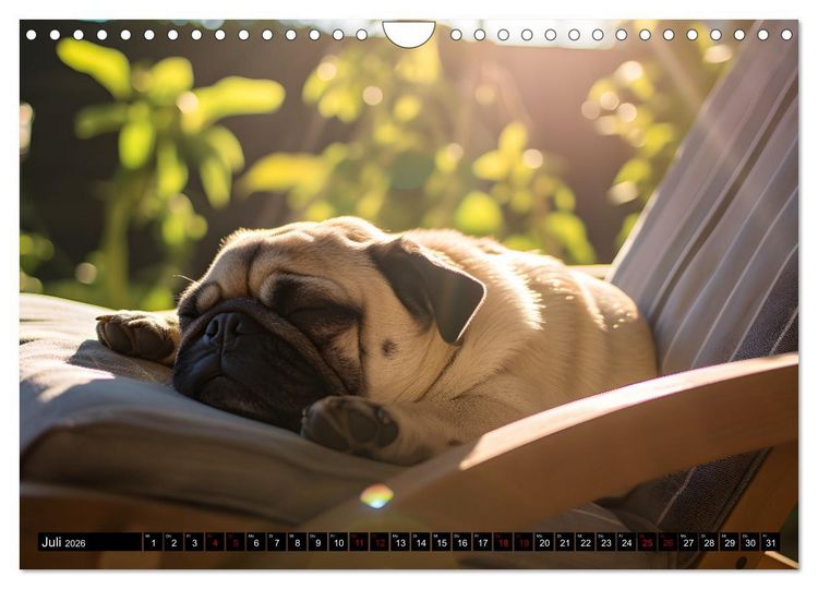 Produktbild: Kleine Helden - eine Hommage an die Mopsrasse (Wandkalender 2026 DIN A4 quer), CALVENDO Monatskalender