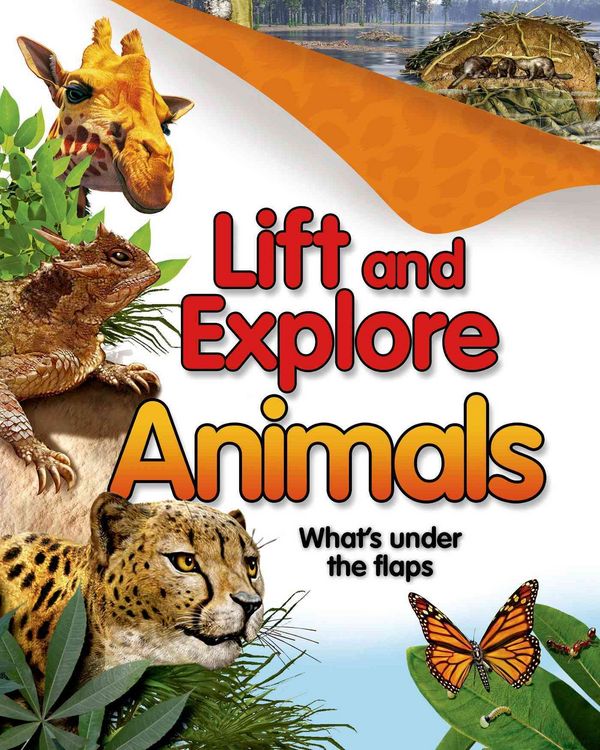 Produktbild: Lift & Explore Anima-Lift Flap
