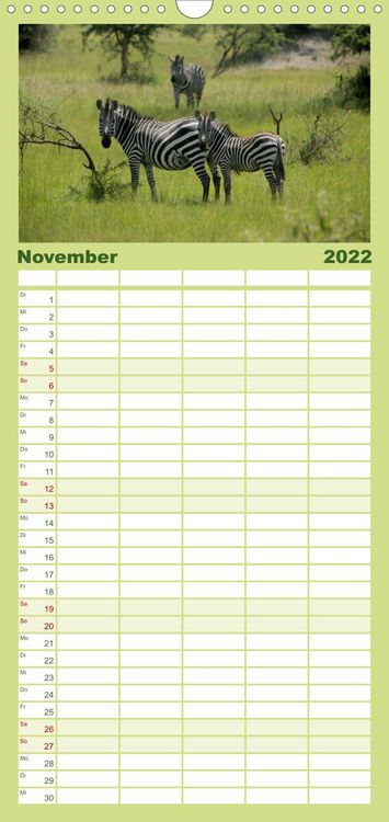 Produktbild: Familienplaner Zebras - Faszination der Wildnis (Wandkalender 2022 , 21 cm x 45 cm, hoch)
