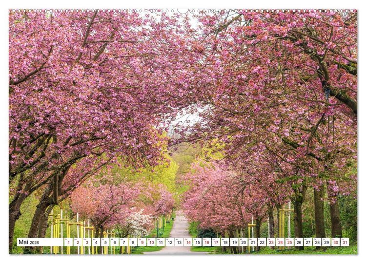 Produktbild: K&ouml;ln - Facetten einer Stadt (hochwertiger Premium Wandkalender 2026 DIN A2 quer), Kunstdruck in Hochglanz