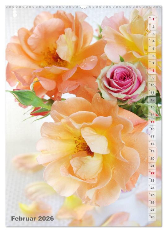 Produktbild: Sch&ouml;nste Rosen (Wandkalender 2026 DIN A2 hoch), CALVENDO Monatskalender