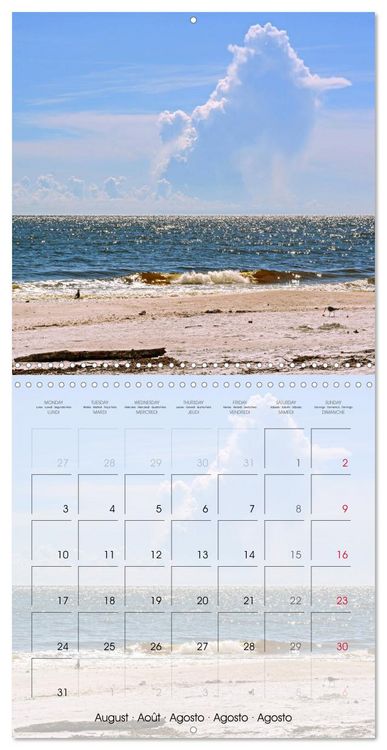 Produktbild: Florida &ndash; Discoveries in the Sunshine State (Wall Calendar 2026 12 &times; 12 Inch) CALVENDO 12 Month Wall Calendar