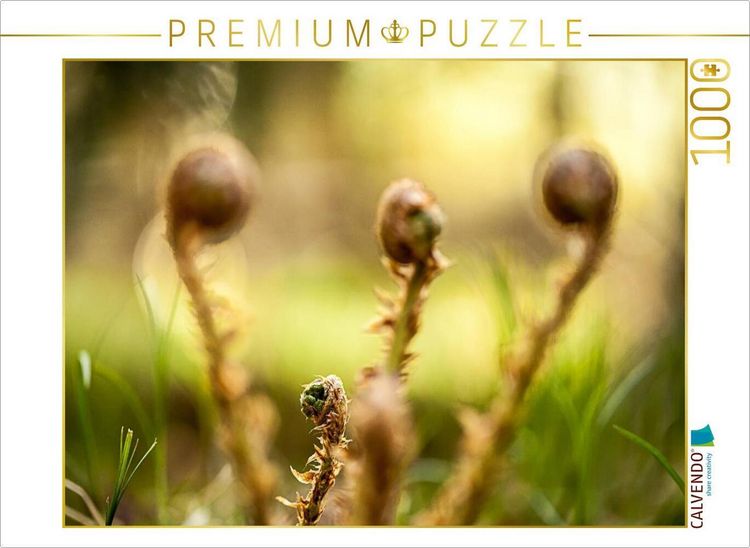 Produktbild: CALVENDO Puzzle Wurmfarn (Dryopteris filix-mas) | 1000 Teile Lege-Gr&ouml;&szlig;e 64x48cm Foto-Puzzle f&uuml;r gl&uuml;ckliche Stunden