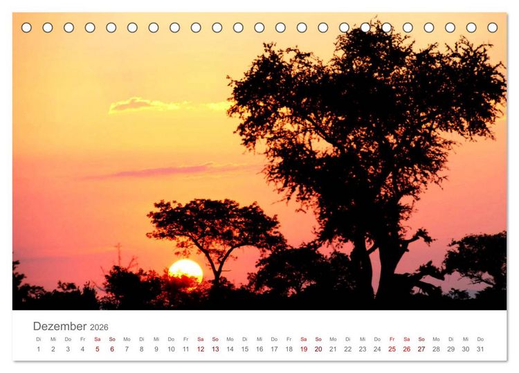 Produktbild: Safari / Afrika (Tischkalender 2026 DIN A5 quer), CALVENDO Monatskalender