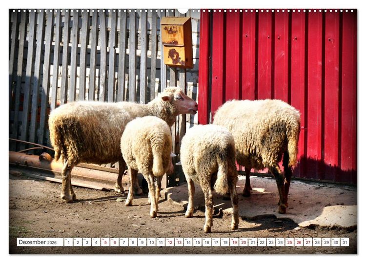 Produktbild: Dorfidylle - Landleben in Russland (hochwertiger Premium Wandkalender 2026 DIN A2 quer), Kunstdruck in Hochglanz