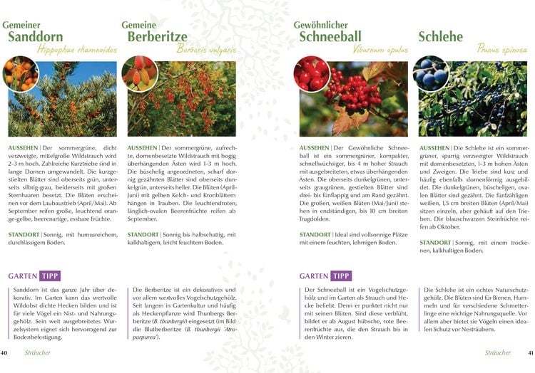 Produktbild: Mein vogelfreundlicher Garten