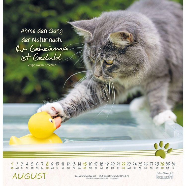 Produktbild: Katzen-Tatzen 2027