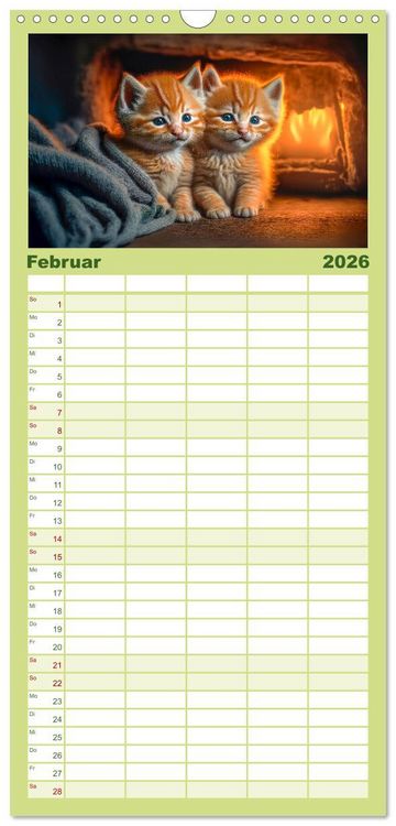 Produktbild: Familienplaner 2026 - Katzen Freunde mit 5 Spalten (Wandkalender, 21 x 45 cm) CALVENDO