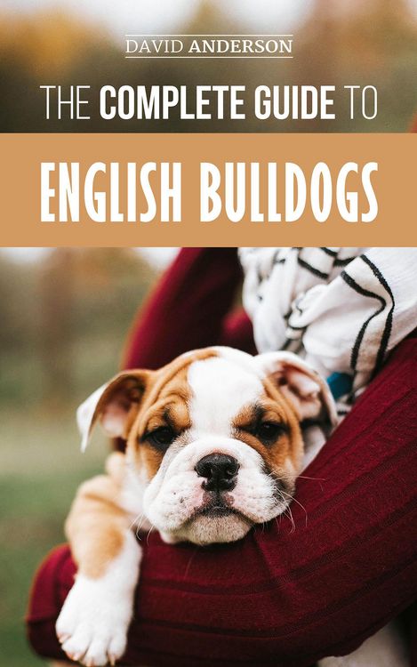 Produktbild: The Complete Guide to English Bulldogs