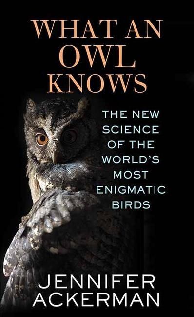Produktbild: Ackerman, J: What an Owl Knows