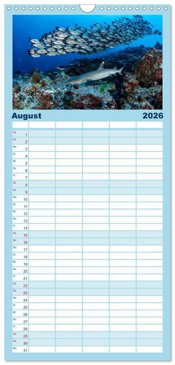 Produktbild: Familienplaner 2026 - Faszinierende Meereswelt der Malediven mit 5 Spalten (Wandkalender, 21 x 45 cm) CALVENDO
