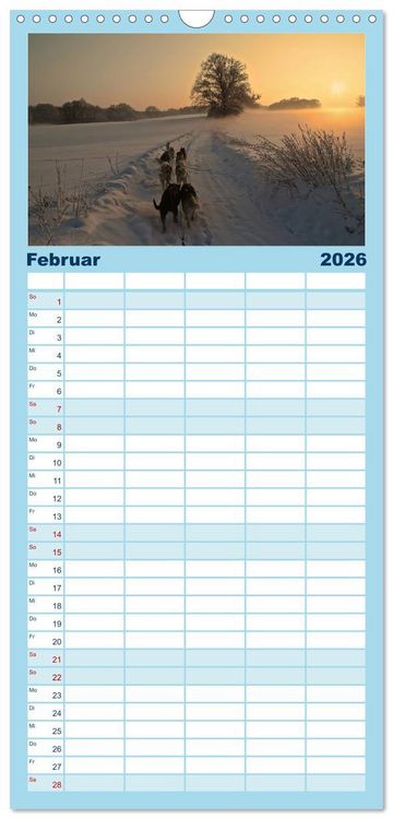 Produktbild: Familienplaner 2026 - Huskies! mit 5 Spalten (Wandkalender, 21 x 45 cm) CALVENDO