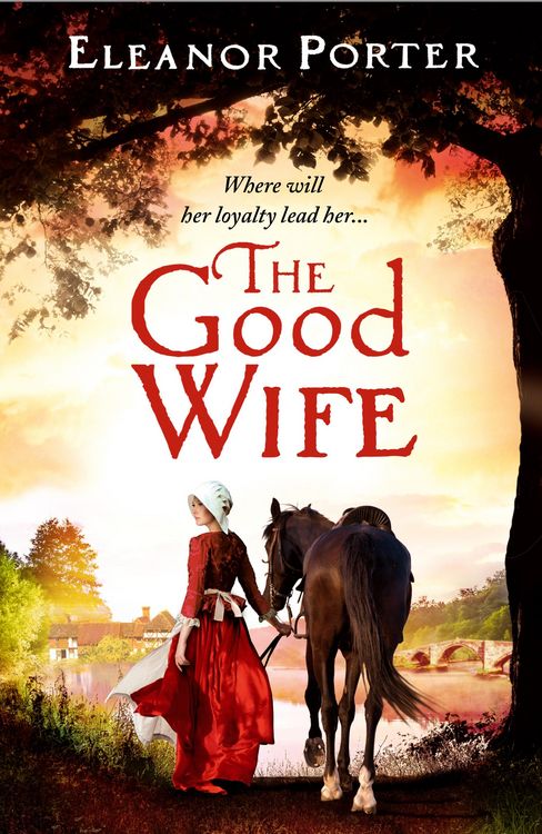 Produktbild: The Good Wife