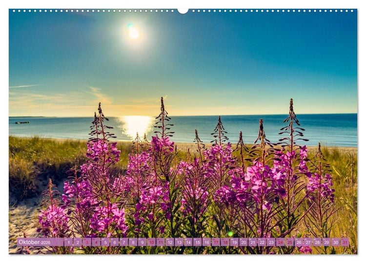 Produktbild: SCHWEDEN wild-romantisch (hochwertiger Premium Wandkalender 2026 DIN A2 quer), Kunstdruck in Hochglanz