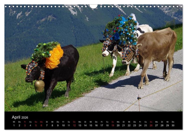 Produktbild: Almabtrieb in Tirol (Wandkalender 2026 DIN A3 quer), CALVENDO Monatskalender