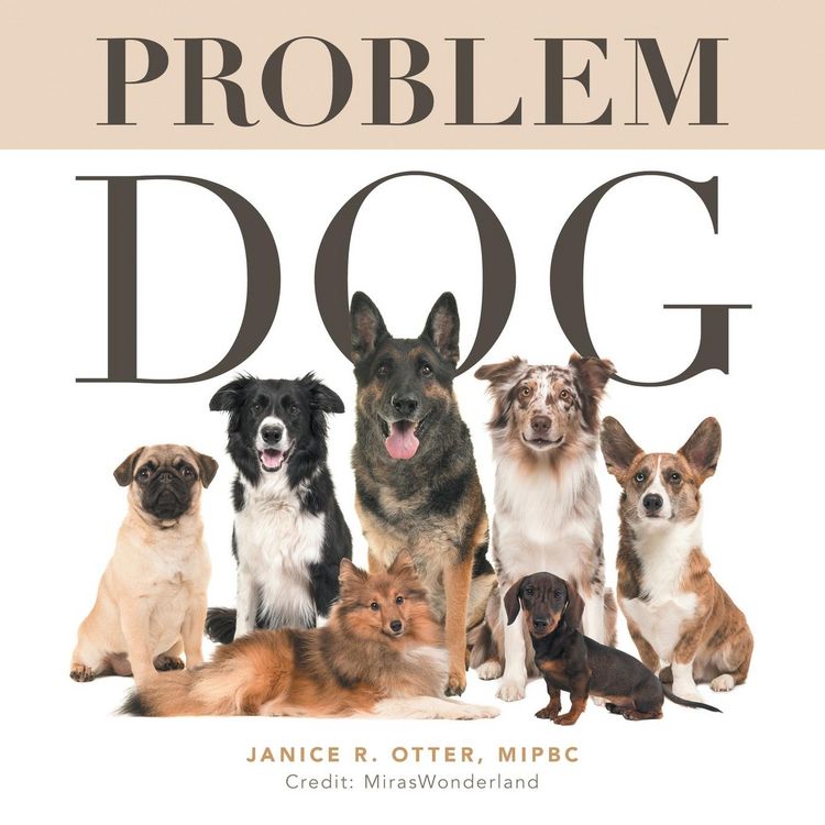 Produktbild: Problem Dog