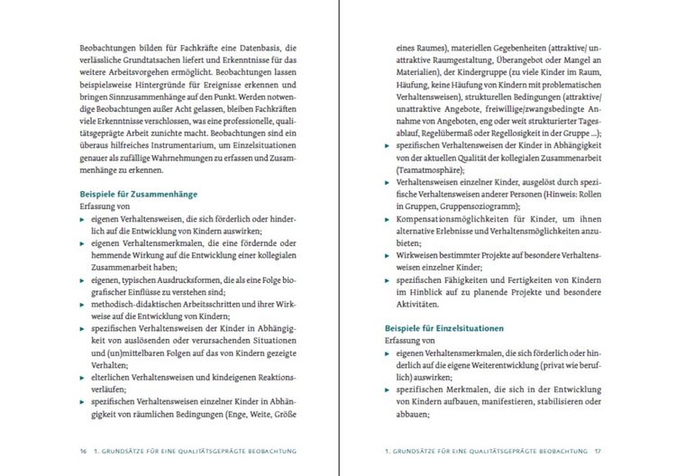 Produktbild: Beobachtung und Entwicklungsdokumentation