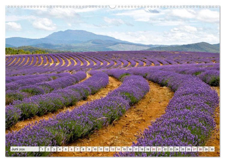 Produktbild: Inselsch&ouml;nheit Tasmanien (Wandkalender 2026 DIN A2 quer), CALVENDO Monatskalender