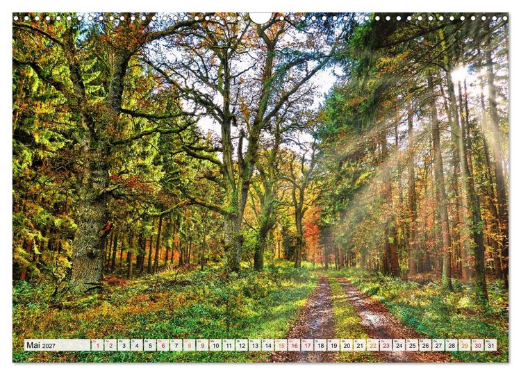 Produktbild: Naturpark Reinhardswald - Wo die Sababurg auf die Weser trifft (Wandkalender 2027 DIN A3 quer), CALVENDO Monatskalender