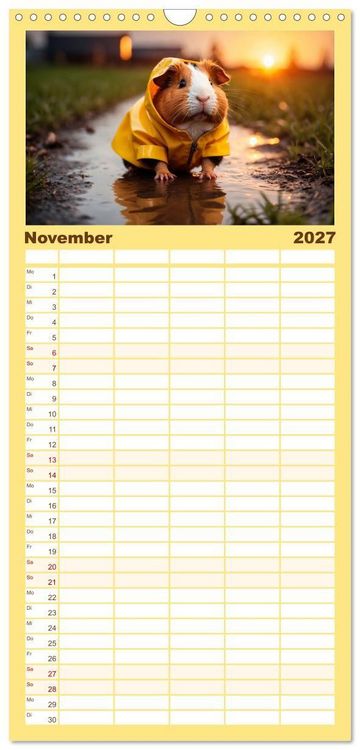 Produktbild: Familienplaner 2027 - Meerschweinchen mal anders! mit 5 Spalten (Wandkalender, 21 x 45 cm) CALVENDO