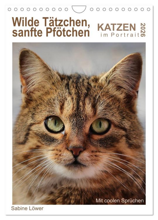 Produktbild: Wilde T&auml;tzchen, sanfte Pf&ouml;tchen (Wandkalender 2026 DIN A4 hoch), CALVENDO Monatskalender