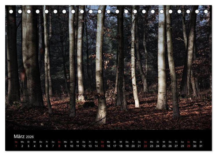 Produktbild: Mystische W&auml;lder (Tischkalender 2026 DIN A5 quer), CALVENDO Monatskalender
